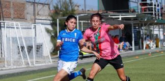 Deportivo Palestino-Universidad Católica