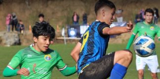 Huachipato FC-Campeonato Proyección