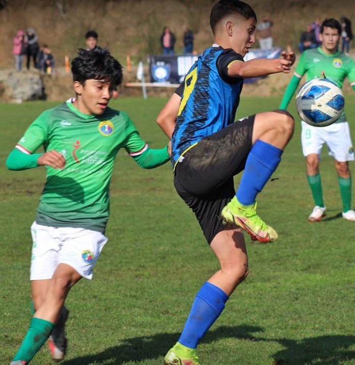 Huachipato FC-Campeonato Proyección