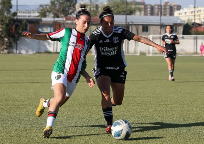 Deportivo Palestino-Colo-Colo