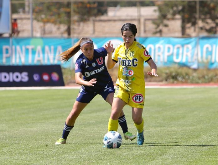 Universidad de Chile-UDEC