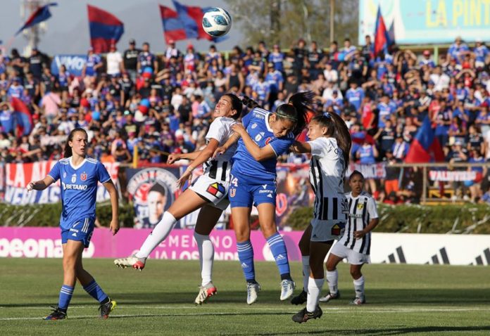 Universidad de Chile-Arturo Fernández Vial