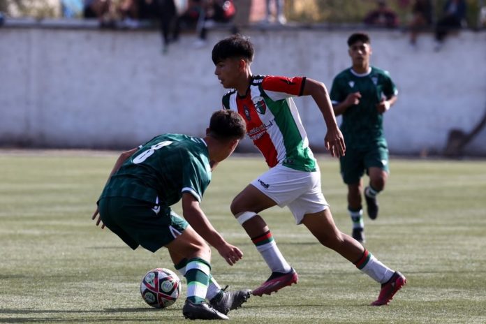 Campeonato Formativo-ANFP