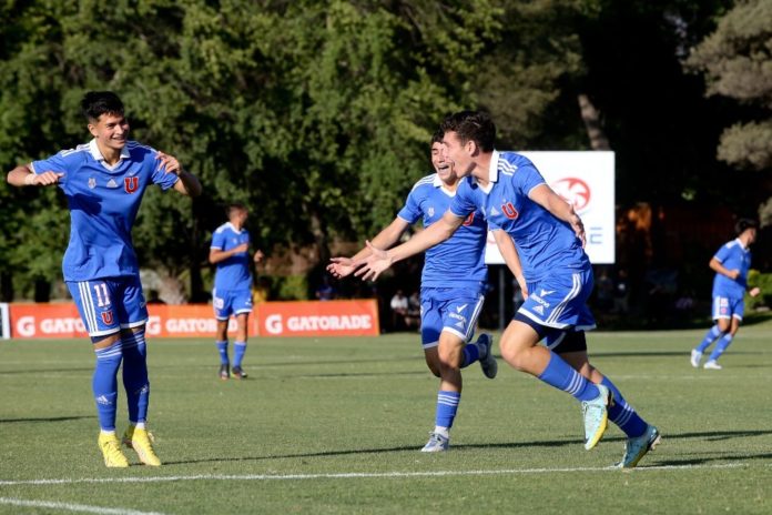 Universidad de Chile formativo